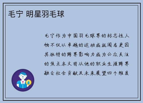 毛宁 明星羽毛球
