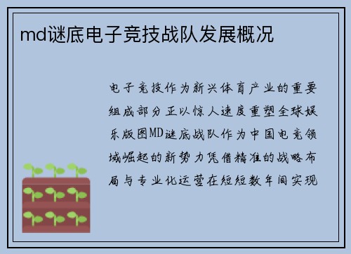 md谜底电子竞技战队发展概况
